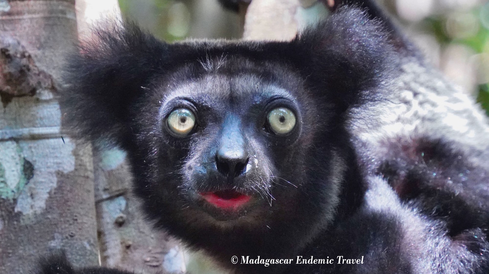 PARC-NATIONAL-ANALAMAZAOTRA