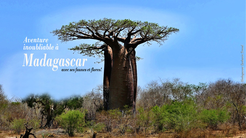 Voyage à Madagascar