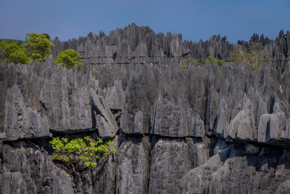 Tsingy bemaraha667