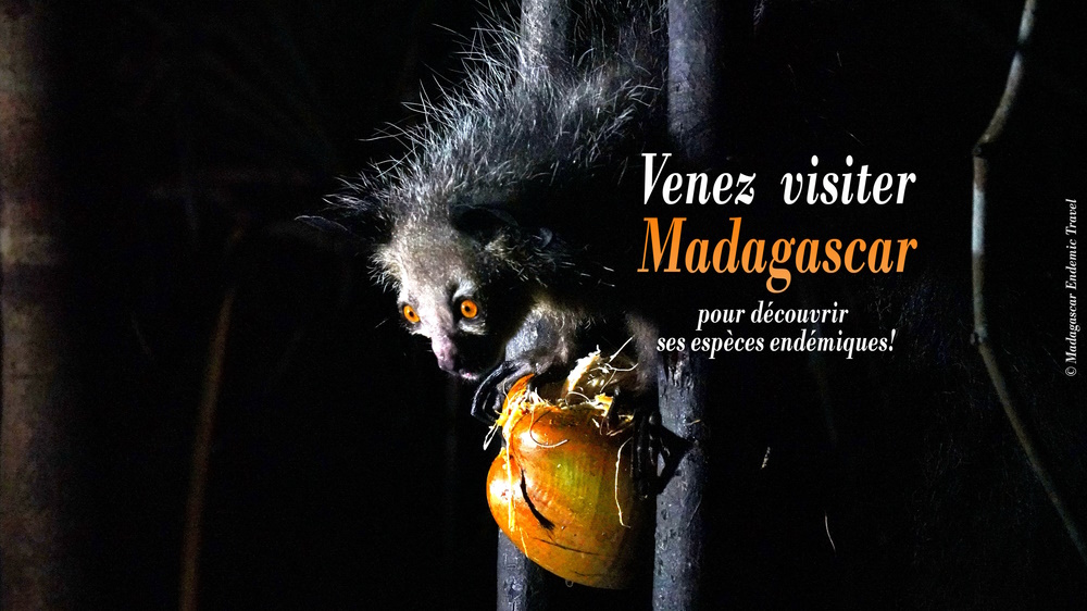 voyage à Madagascar